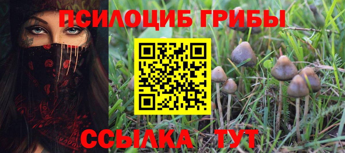 Псилоцибиновые грибы Magic Shrooms  Вход с VPN  Чапаевск  Псилоцибиновые грибы прущие грибы 